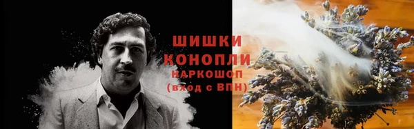 СК Вязьма