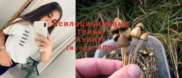 apvp Куйбышев